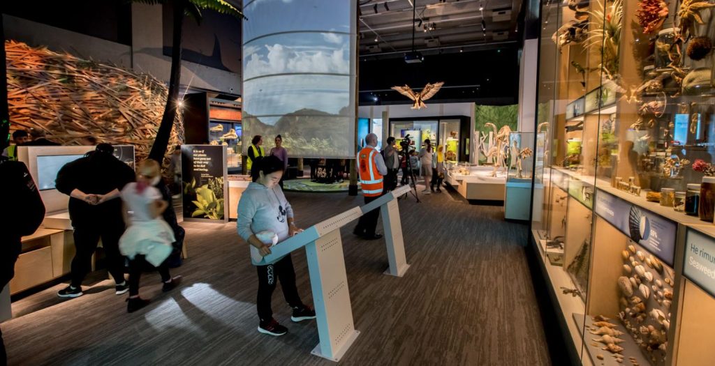 Musee Nouvelle Zelande avec enfants