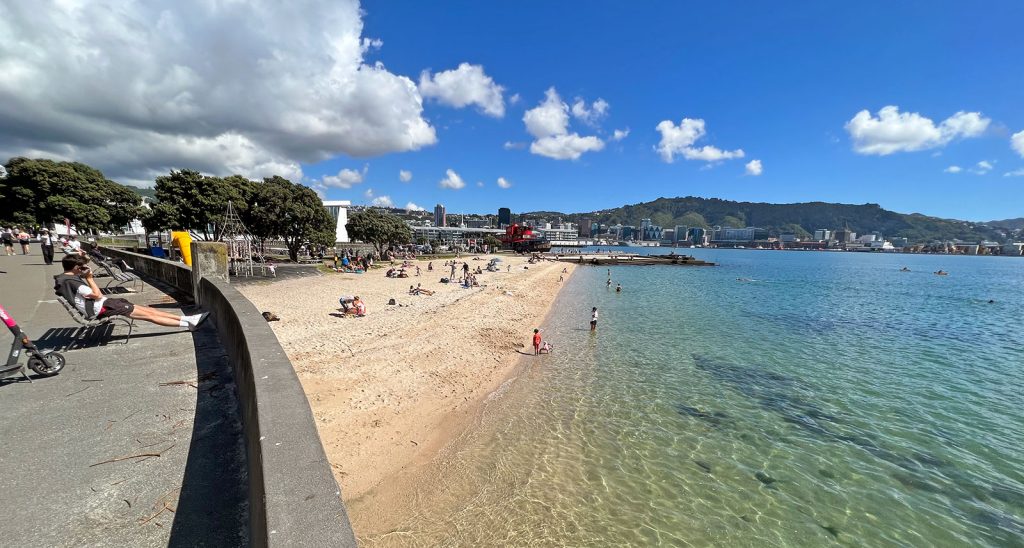 Plage de Oriental Bay