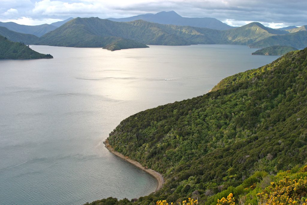 Panorama Marlbourough Sounds NZ