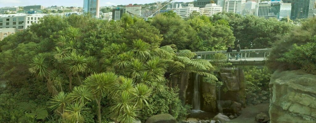 Jardin de Te Papa à Wellington