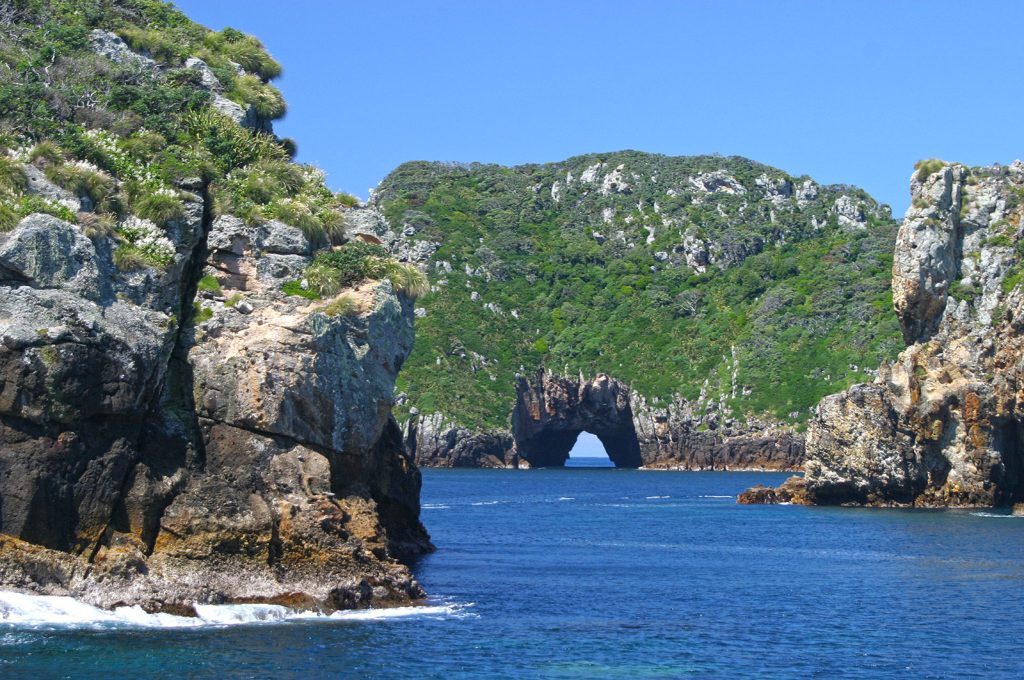 Iles de Poor Knights pour plongée