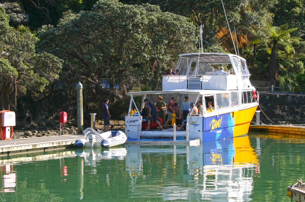 Bateau pour Poor Knights plongée