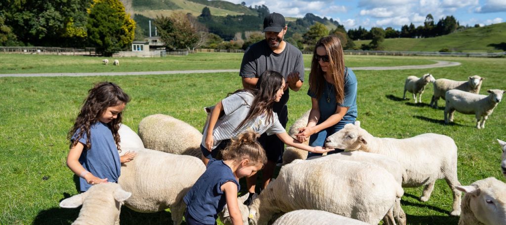Spectacle de ferme Rotorua