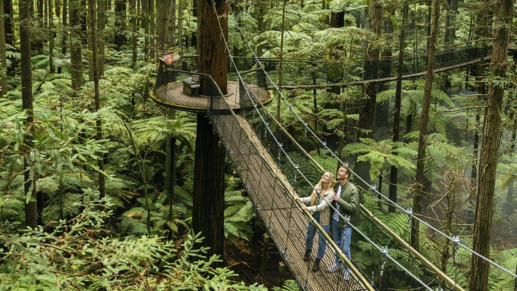 Foret de Sekoia Rotorua