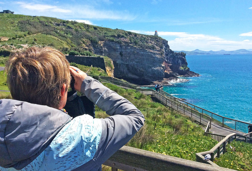 Annette sur la Péninsule d'Otago