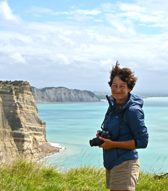 Napier Nouvelle-Zelande