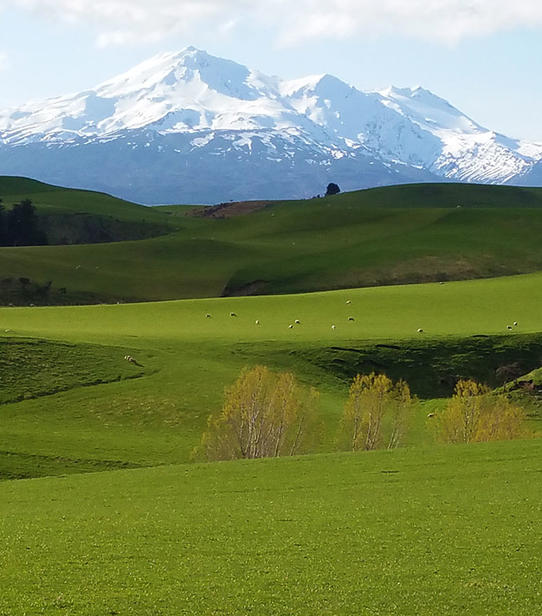 Volcan Ruapehu photographié par Anne-Claude Stabile