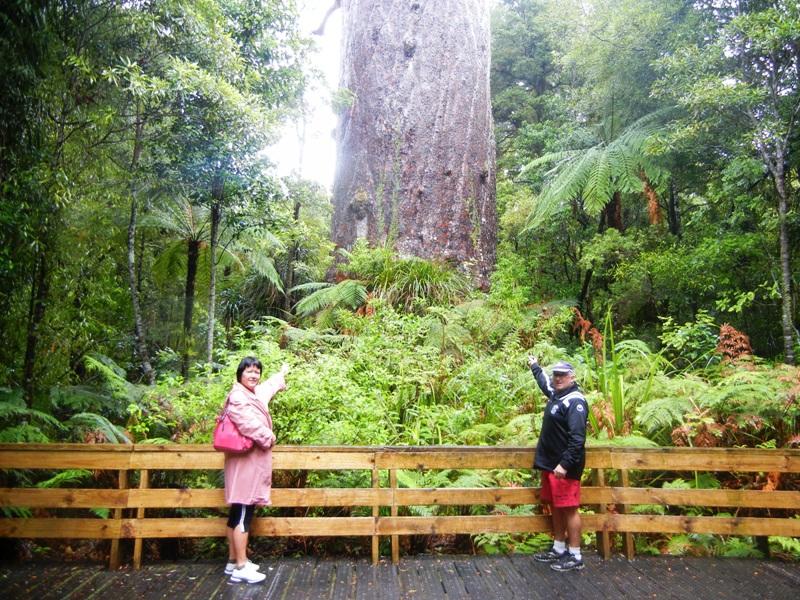 Voyage île nord Nouvelle-Zélande