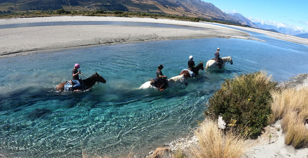 activite-cheval-queenstwon