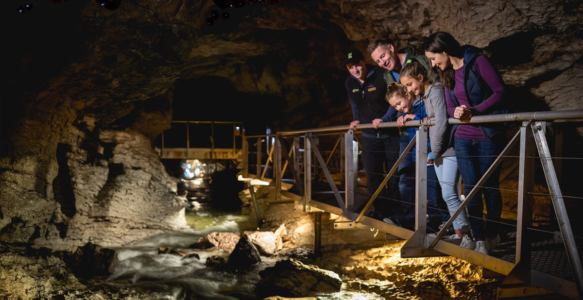 activite-te-anau-glowworm