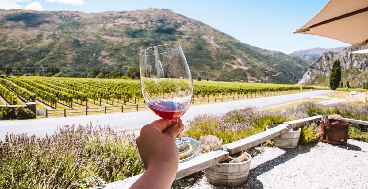 activite-visite-vignobles-queenstown