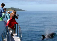 activite_nature-picton activite_nature-picton
