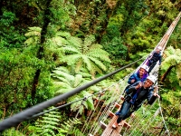 Canopée forêt Rotorua avec Frogs Voyages Canopée forêt Rotorua avec Frogs Voyages