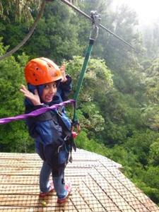 Rotorua canopy tours