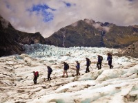 Fox glacier walk bus Fox glacier walk bus