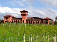 Renwick winery Marlborough NZ