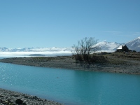 Tekapo 
