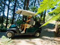 Wairakei Taupo Golf NZ chariots