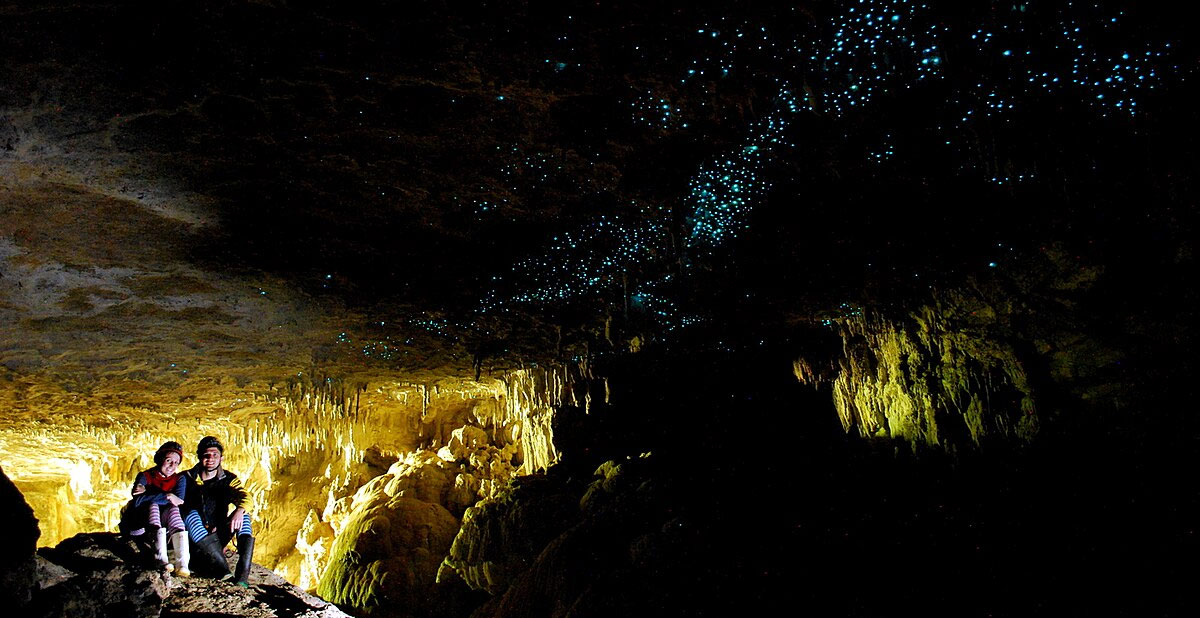 grottes-lucioles-waitomo-caves