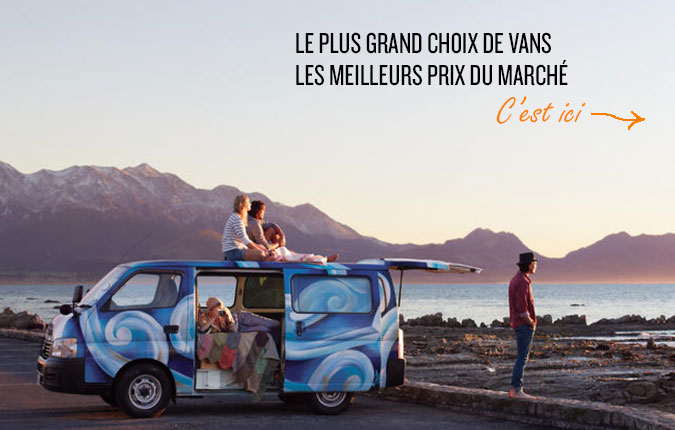 converse golf le fleur homme soldes