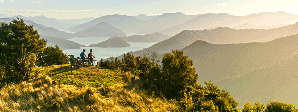 Incontournable Queen Charlotte