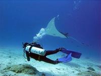 Location de camping-car Australie