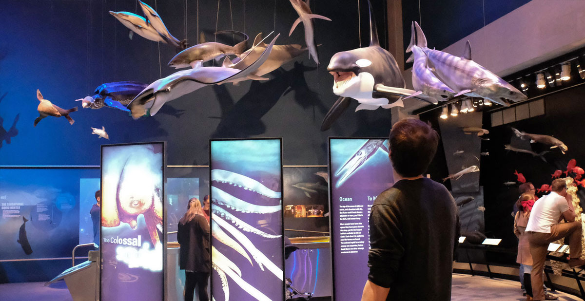 musee-te-papa-wellington