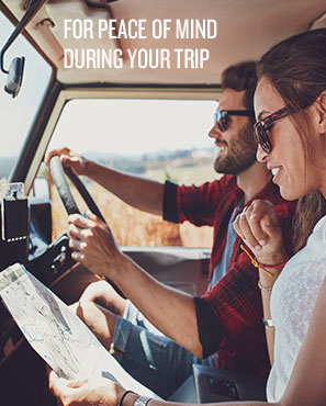 Instant Backpacker Car Insurance New Zealand - Frogs-in-NZ Instant Backpacker Car Insurance New Zealand - Frogs-in-NZ