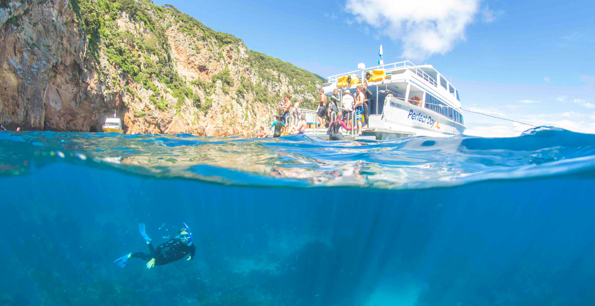 plongee-nouvelle-zelande-poor-knights