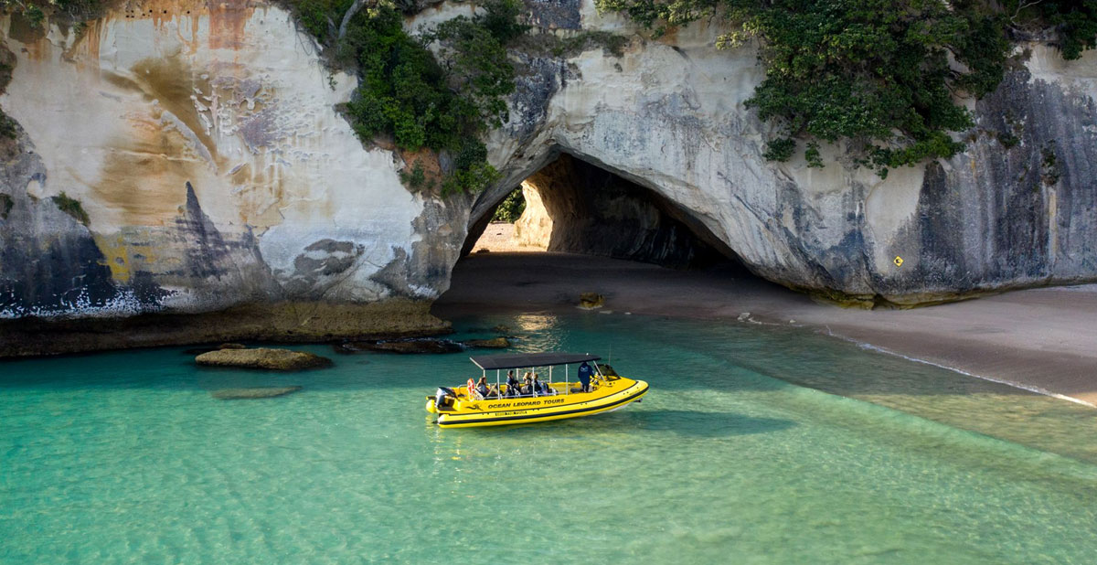 sortie-bateau-whitianga-leopard-tours