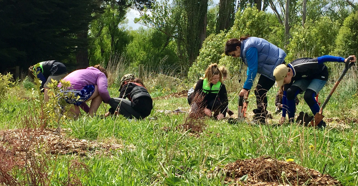 Plantation d'arbres projet Styx