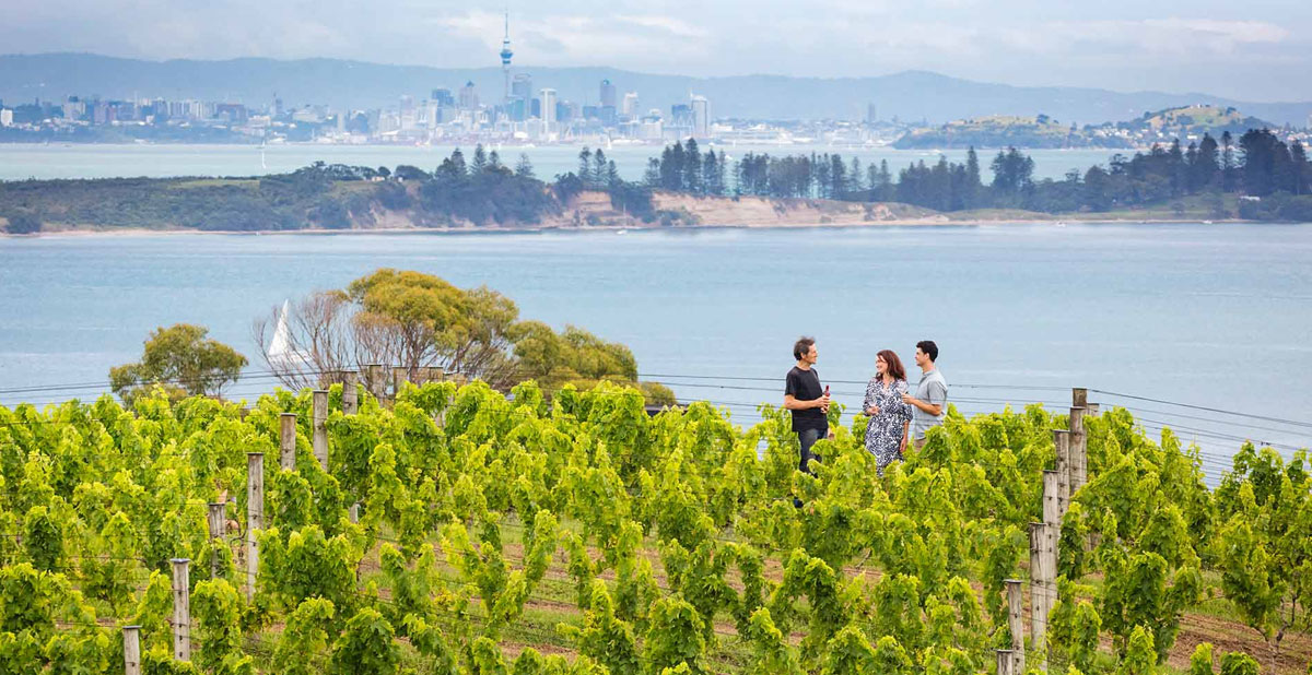 waiheke-tour-des-vignobles