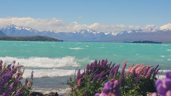 Autotour Nouvelle-Zélande