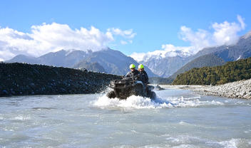 Voyageur Frogs Nouvelle Zelande