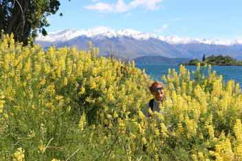 Philippe et Marie (Nouvelle Calédonie) - Circuit voiture + hébergements île du nord - Février 2015