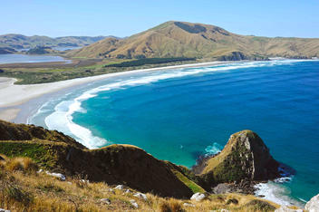 Clients Frogs en Nouvelle-Zélande